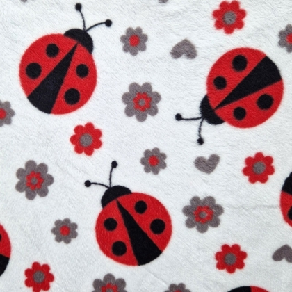 Ladybug