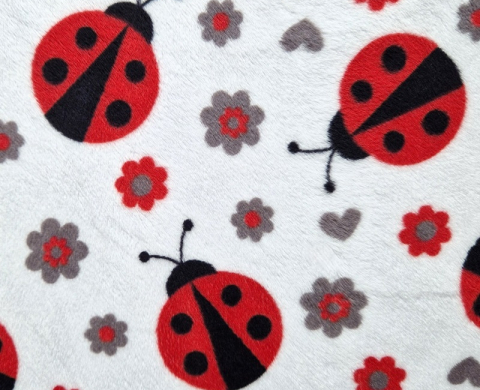 Ladybug