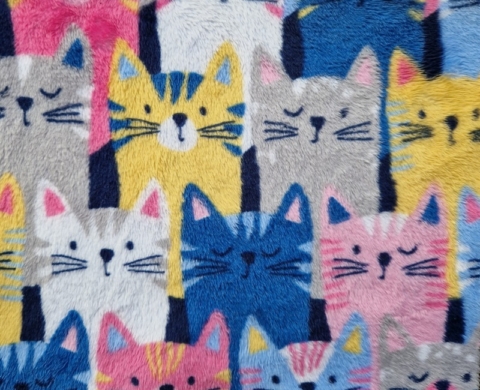 Cats (Funny)